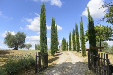 Maremma (Toskana, İtalya)