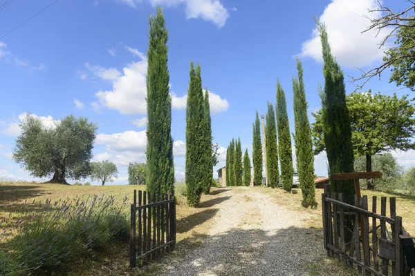 Maremma (Toscana, Itália) ) — Fotografia de Stock