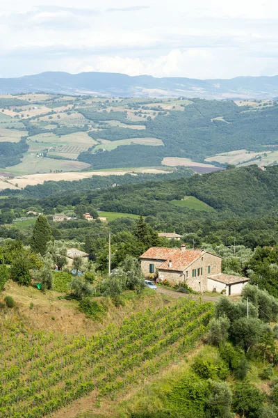 Montalcino (Toskánsko, Itálie) — Stock fotografie