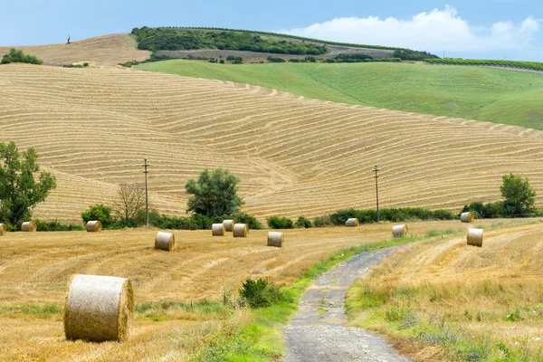 Montalcino (Toskánsko, Itálie) — Stock fotografie