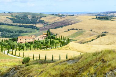 Girit senesi (Toskana, İtalya)
