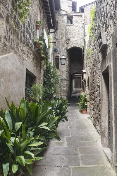 Viterbo (Italia) ) — Foto de Stock