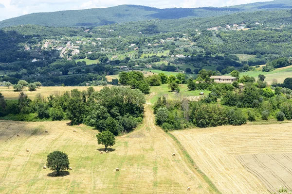 Letní krajina v Umbrii (Itálie) — Stock fotografie