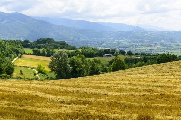 Country landscape in Lazio (Italy) — Stock Photo, Image