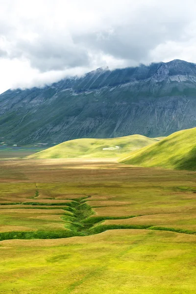 Piano Grande di Castelluccio (Itália) ) — Fotografia de Stock