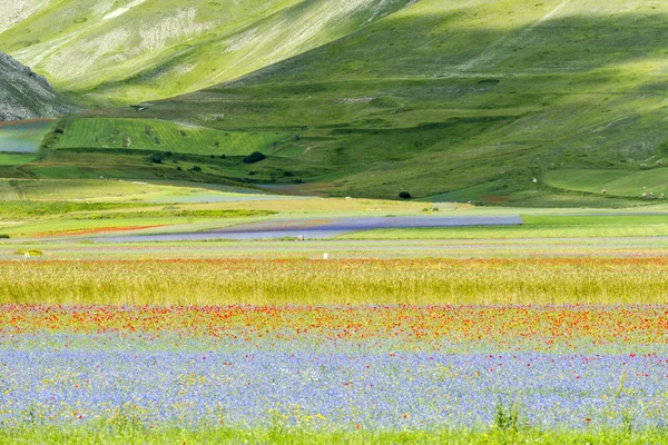 Piyano Grande di Castelluccio (İtalya) — Stok fotoğraf