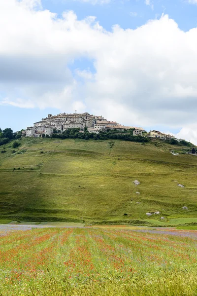 Piano Grande di Castelluccio (Italia) ) — Foto Stock