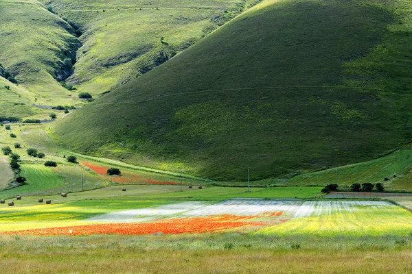 Piano Grande di Castelluccio (Italy) — Stock Photo, Image