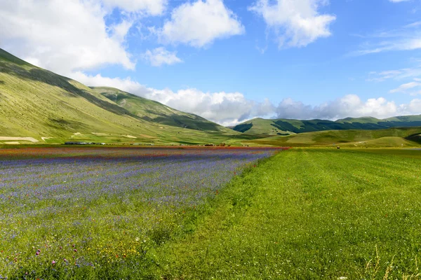 피아노 그란데 디 Castelluccio (이탈리아) — 스톡 사진