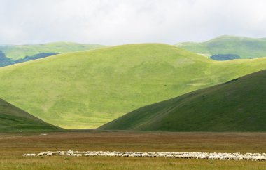 Piyano Grande di Castelluccio (İtalya)