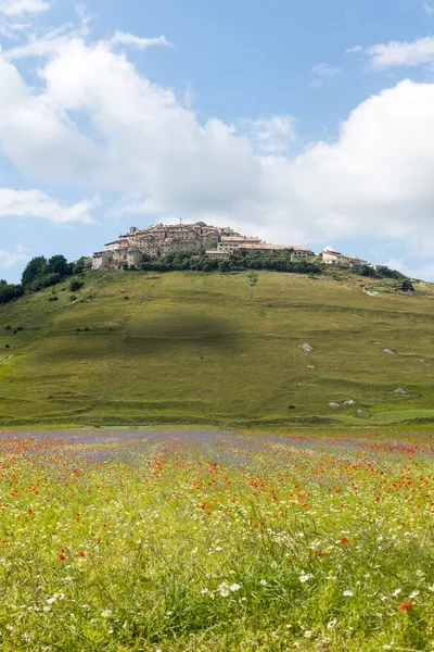 Piano Grande di Castelluccio (Italië) — Stockfoto