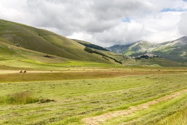 Piano Grande di Castelluccio (Италия) ) — стоковое фото