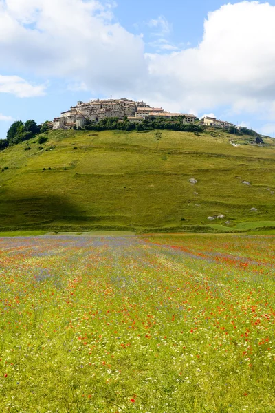 Piano Grande di Castelluccio (Italië) — Stockfoto