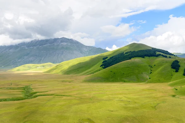 Piano Grande di Castelluccio (Italy) — Stock Photo, Image