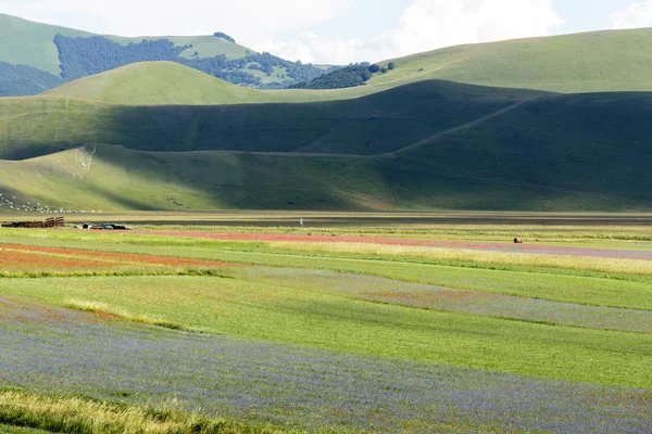 Piano Grande di Castelluccio (Италия) ) — стоковое фото