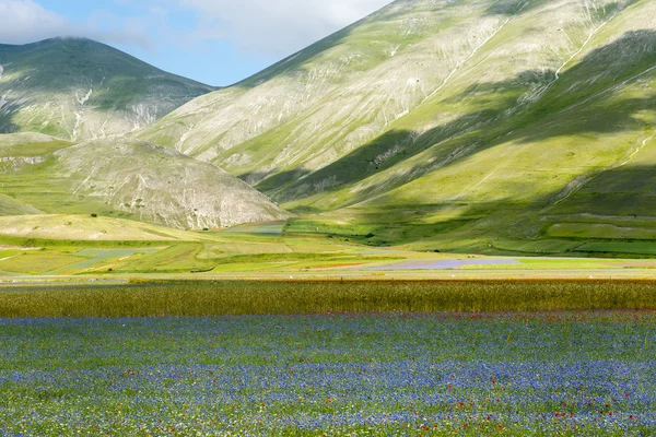 Piano Grande di Castelluccio (Italy) — Stock Photo, Image