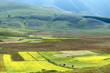 Piyano Grande di Castelluccio (İtalya)