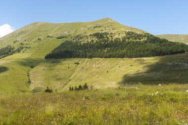 Piyano Grande di Castelluccio (İtalya)