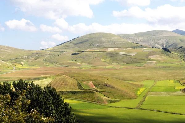 Piano Grande di Castelluccio (Itália) ) — Fotografia de Stock