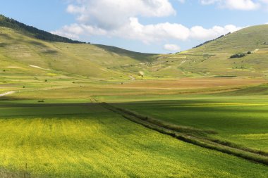 Piyano Grande di Castelluccio (İtalya)