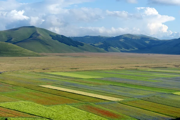 Piano Grande di Castelluccio (Italy) — Stock Photo, Image