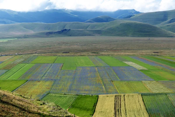 Piano Grande di Castelluccio (Italy) — Stock Photo, Image