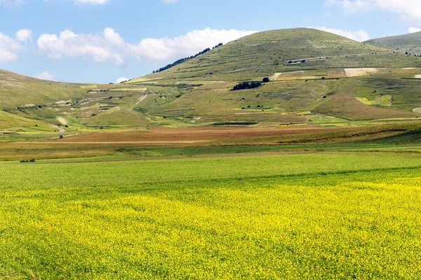 Piano Grande di Castelluccio (Italia) ) —  Fotos de Stock