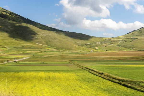 Piano Grande di Castelluccio (Włochy) — Zdjęcie stockowe