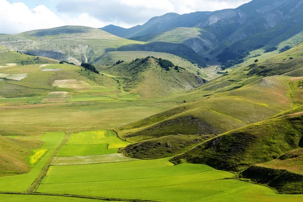 Piyano Grande di Castelluccio (İtalya)