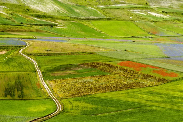 Piyano Grande di Castelluccio (İtalya) — Stok fotoğraf