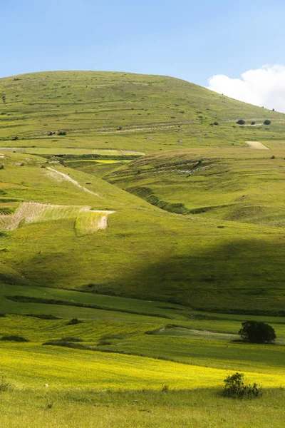 Piano Grande di Castelluccio (Italy) Stock Picture