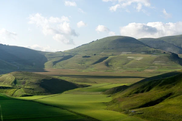 Piano Grande di Castelluccio (Itália) ) — Fotografia de Stock