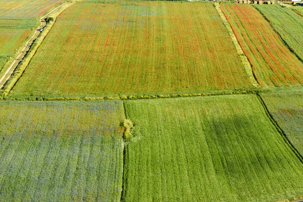 Piano Grande di Castelluccio (Italia) ) —  Fotos de Stock