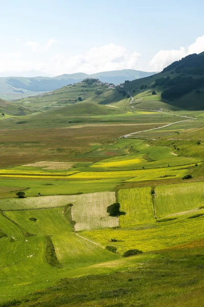 Piano Grande di Castelluccio (Italia) ) —  Fotos de Stock