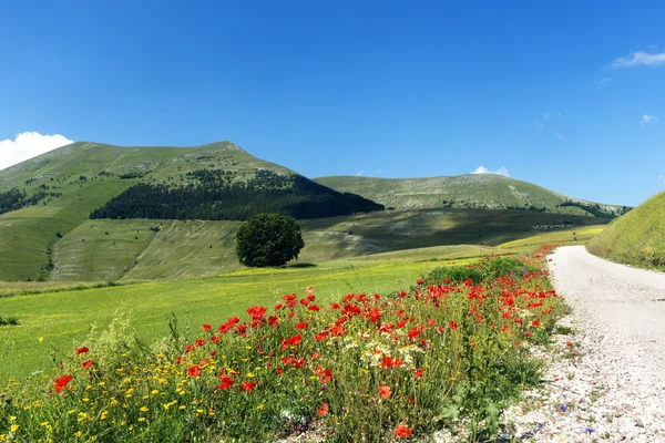 Piyano Grande di Castelluccio (İtalya) — Stok fotoğraf