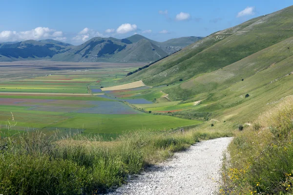 Piano Grande di Castelluccio (Italië) — Stockfoto