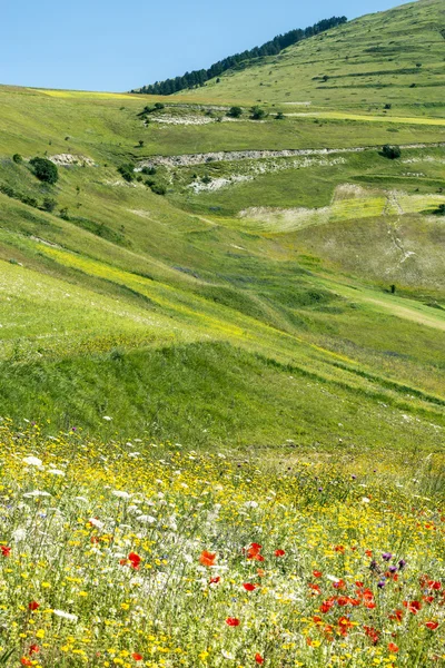 Piyano Grande di Castelluccio (İtalya) — Stok fotoğraf