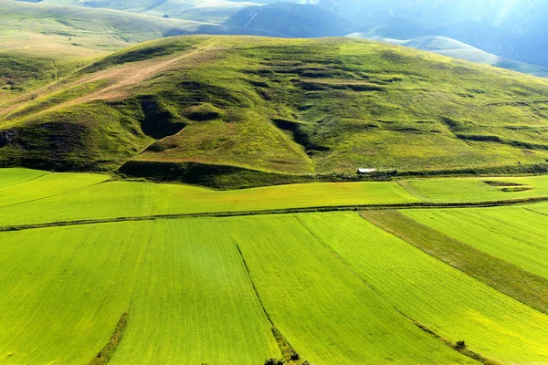 Piano Grande di Castelluccio (Itálie) — Stock fotografie