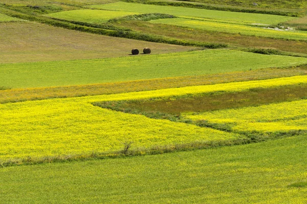 Piano Grande di Castelluccio (Italy) — Stock Photo, Image