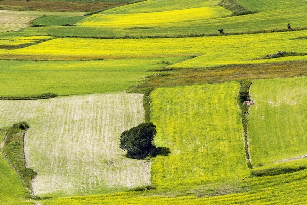 Piano Grande di Castelluccio (Italien) — Stockfoto