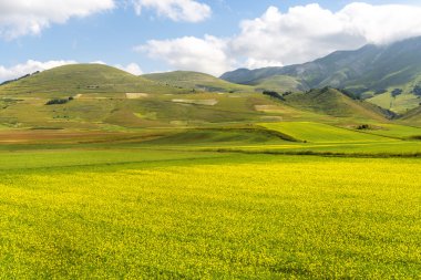 Piyano Grande di Castelluccio (İtalya)