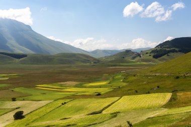 Piyano Grande di Castelluccio (İtalya)
