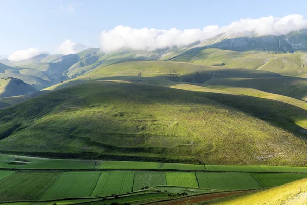 Piano Grande di Castelluccio (Italia) ) — kuvapankkivalokuva