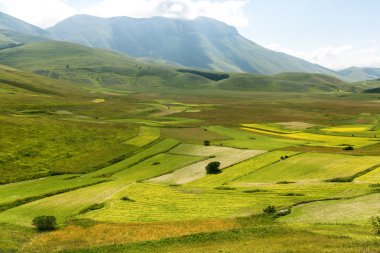 Piyano Grande di Castelluccio (İtalya)