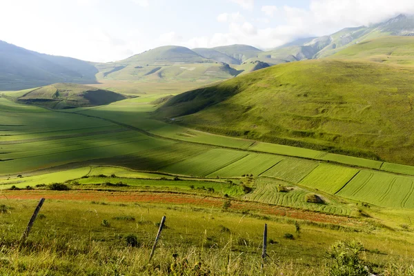 Piano Grande di Castelluccio (Italia) ) — Foto Stock