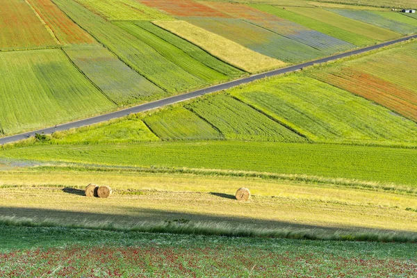 Piano Grande di Castelluccio (Италия) ) — стоковое фото