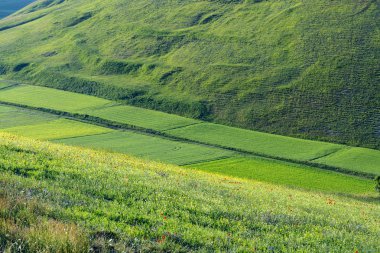 Piyano Grande di Castelluccio (İtalya)