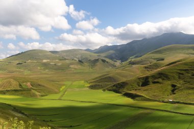 Piyano Grande di Castelluccio (İtalya)