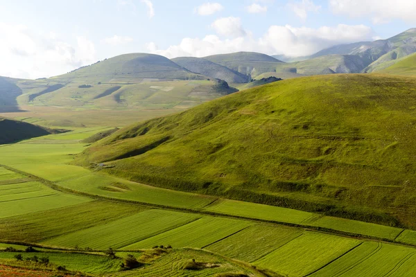 Piano Grande di Castelluccio (Италия) ) — стоковое фото