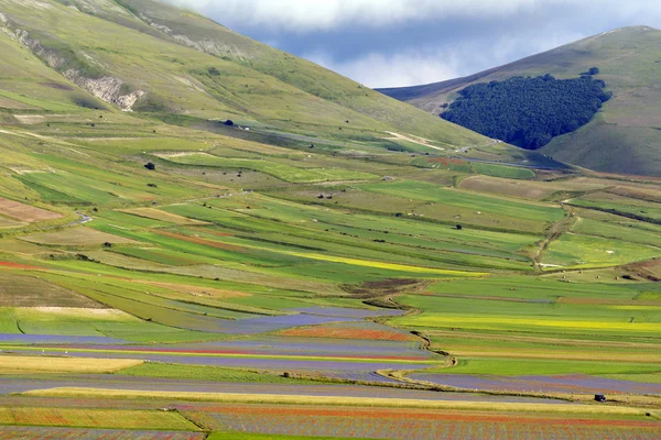 Piano Grande di Castelluccio (Italië) — Stockfoto